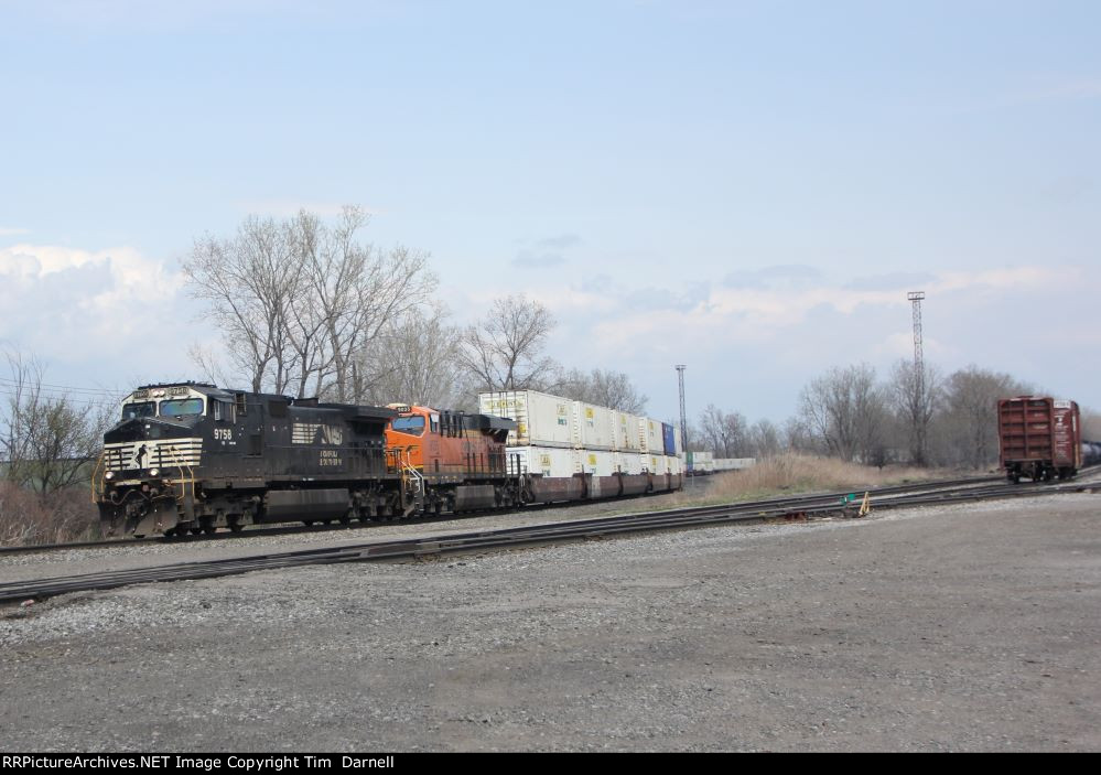 NS 9758 leads NS 265